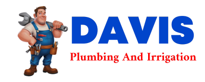 Trusted plumber in RUSHMORE